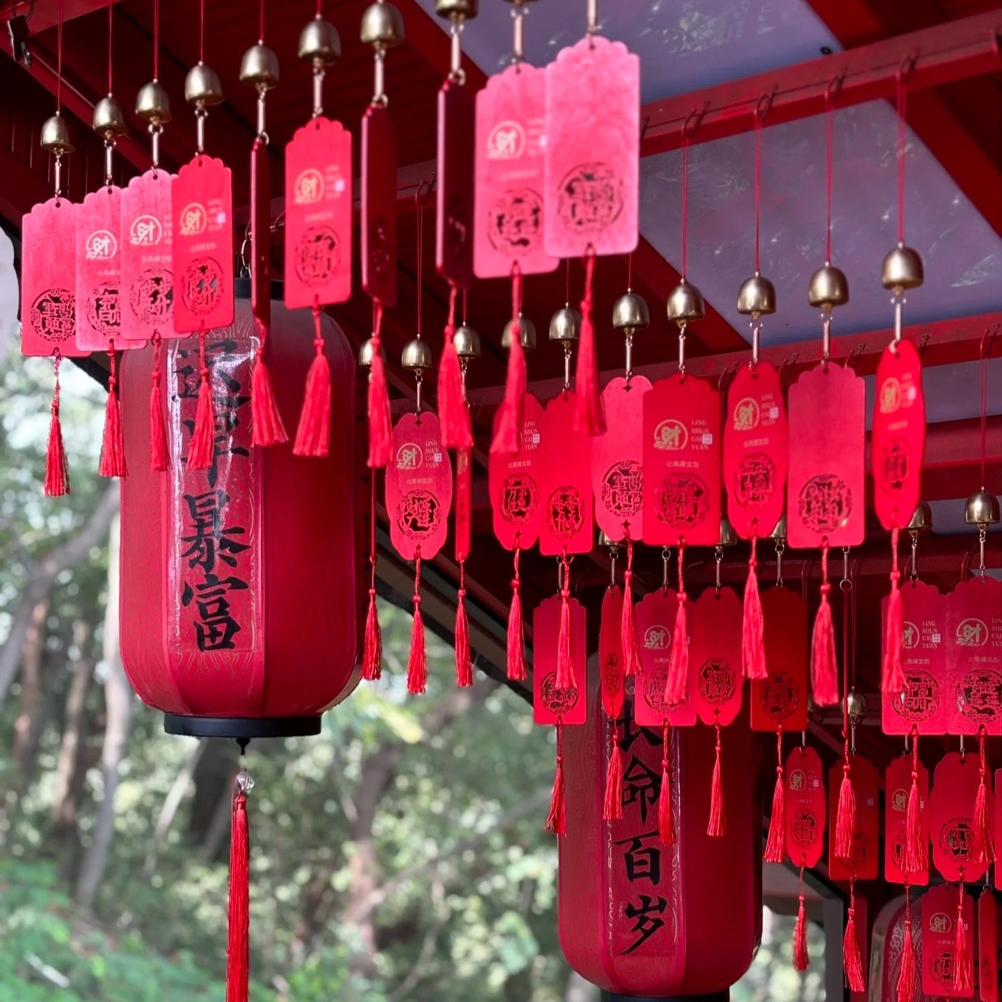 Prayer Flags For Energy Blessing
